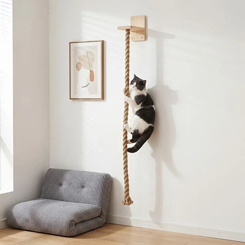 https://img.kwcdn.com/product/fancy/f7a9a16d-d6af-4348-a98d-7371bb33a80f.jpg